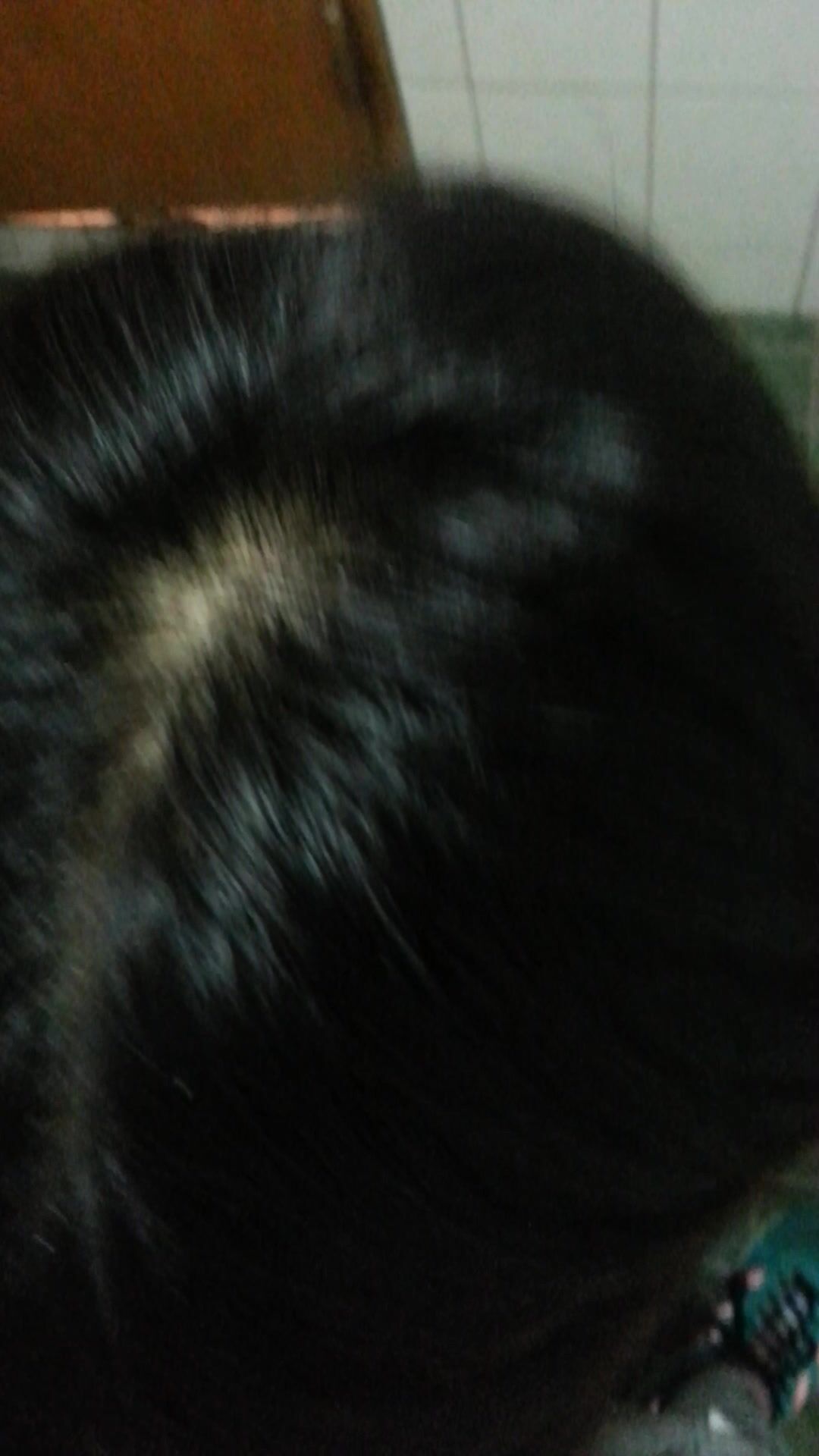 토끼녀풀버전 (4)